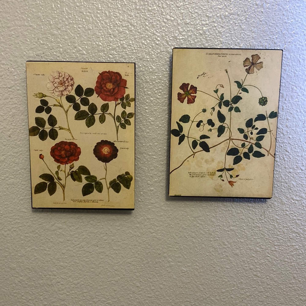 2pc picture set - Picture 1 of 2